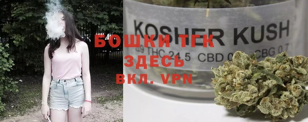 гашик Протвино