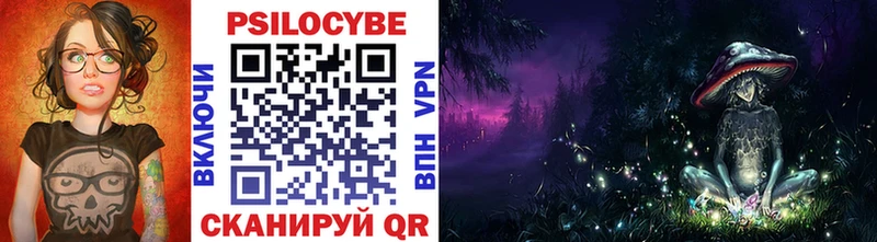 Купить где  Абаза  Псилоцибиновые грибы MAGIC MUSHROOMS 
