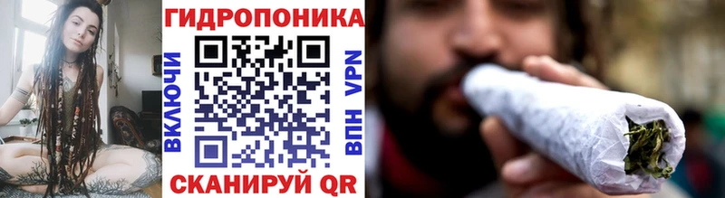 Бошки Шишки индика  Купить закладки  Абаза 